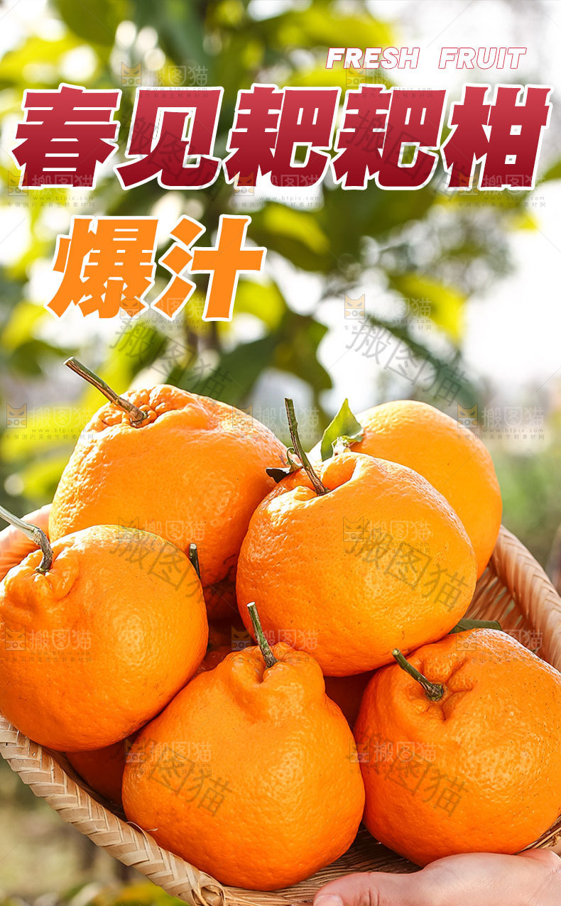 春见耙耙柑详情页