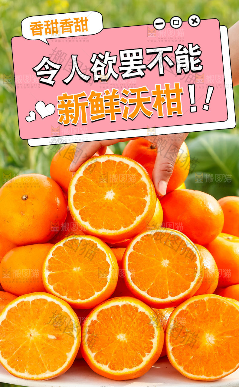 广西沃柑详情