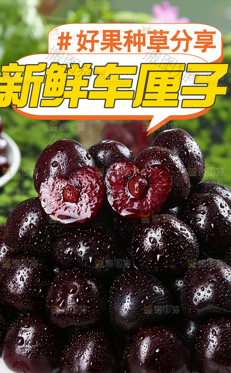 新鲜车厘子详情