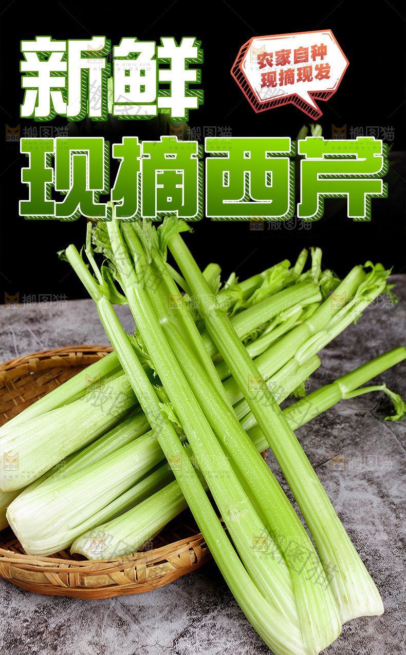 大西芹详情页