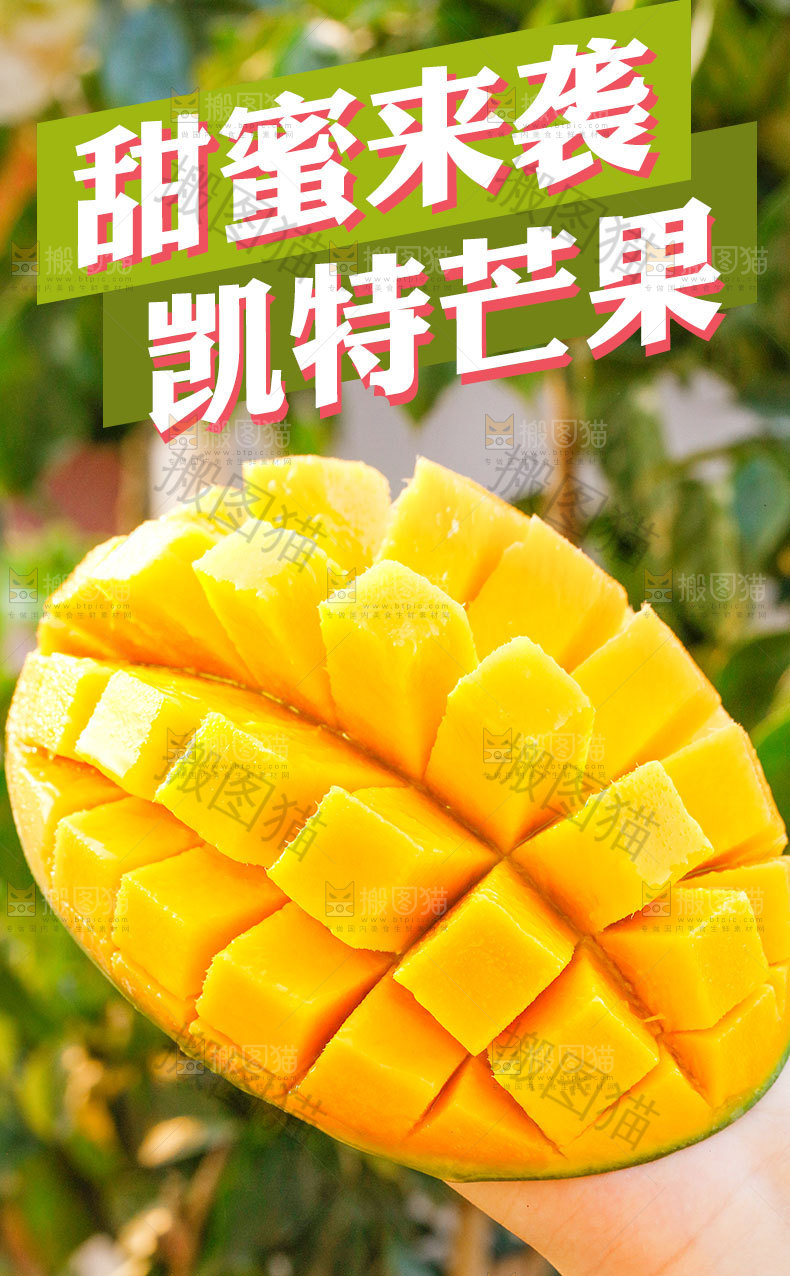 青皮凯特芒果详情页