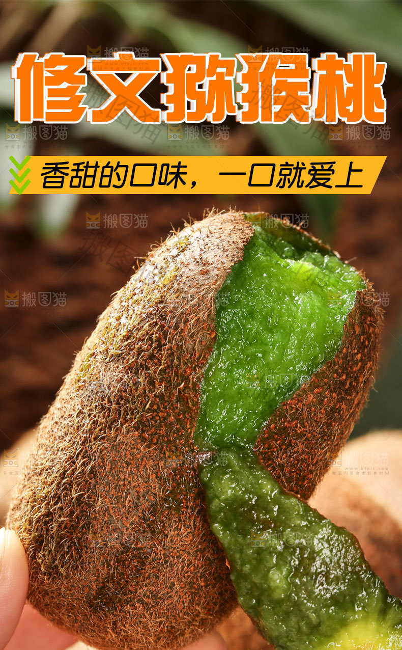 修文猕猴桃详情