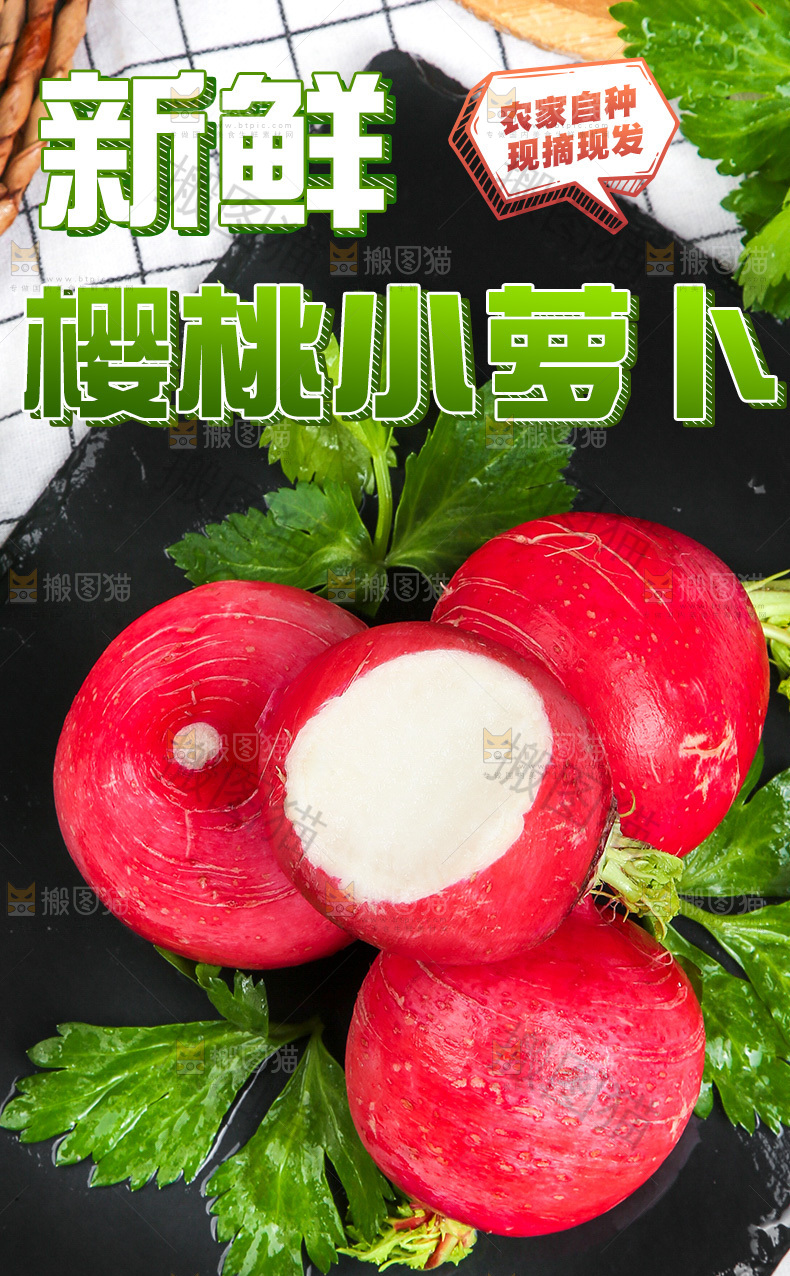 樱桃小萝卜详情