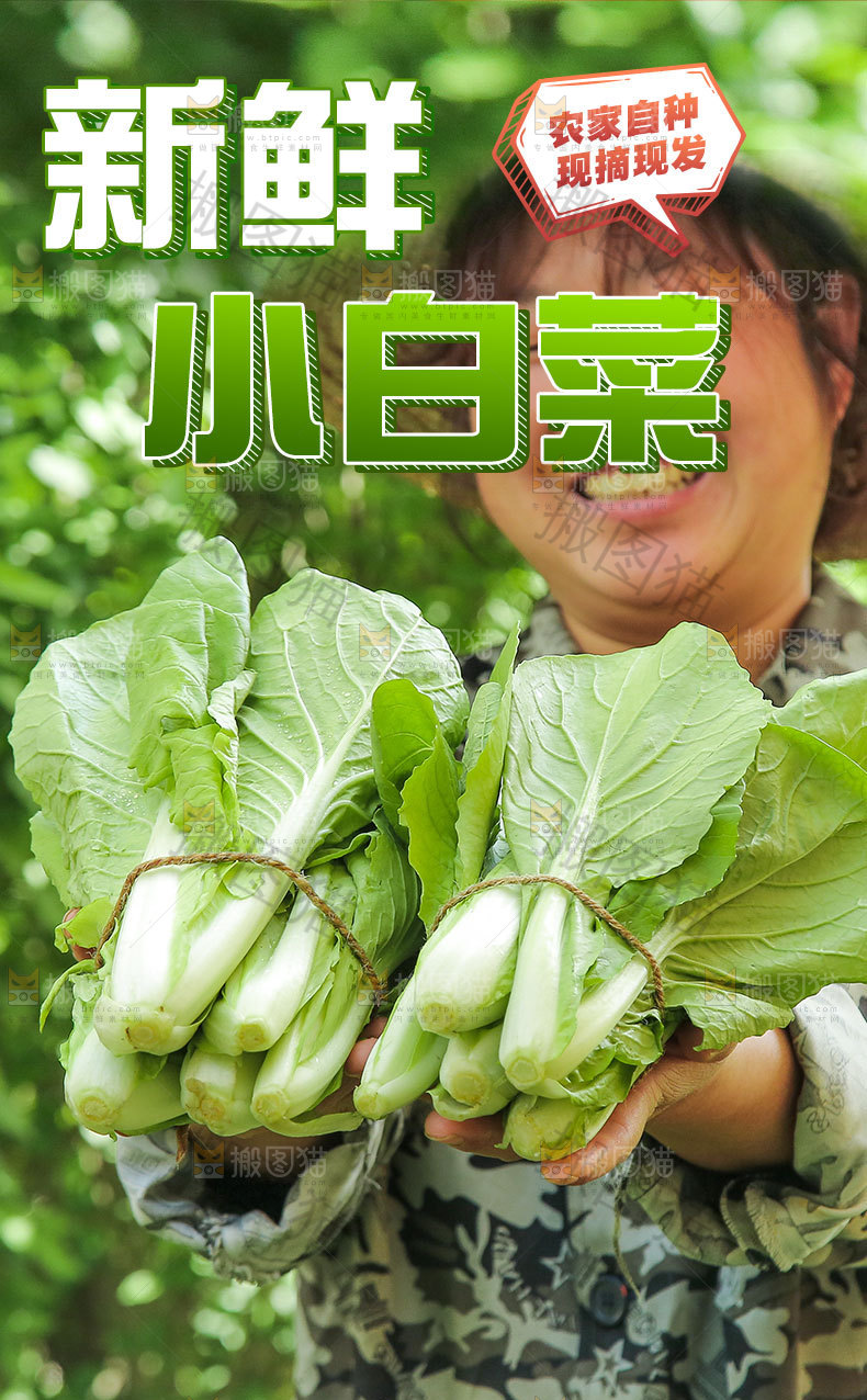 小白菜详情页设计
