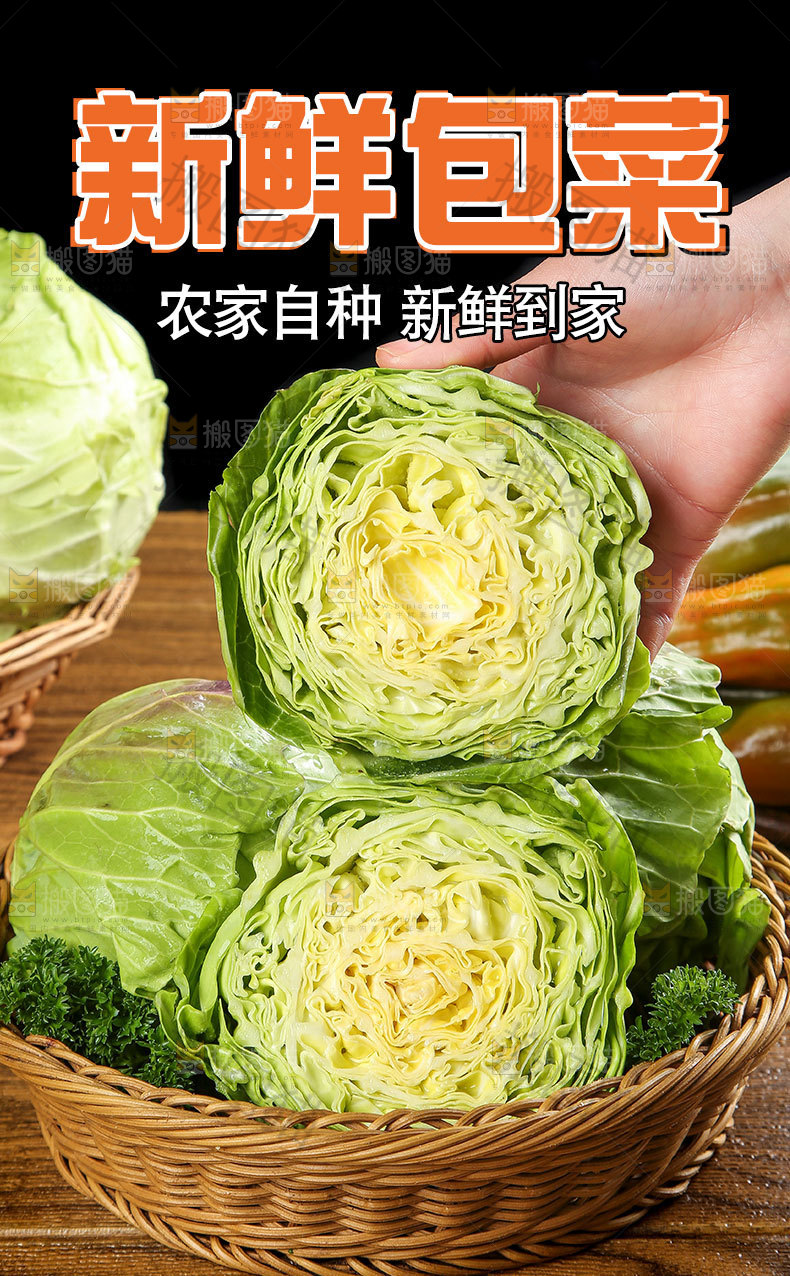 新鲜包菜详情页设计