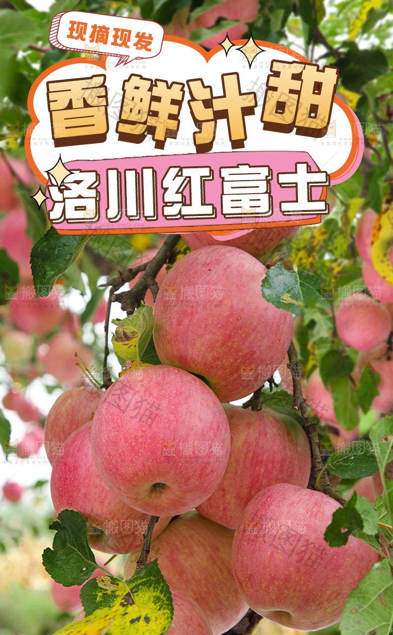 洛川苹果详情页