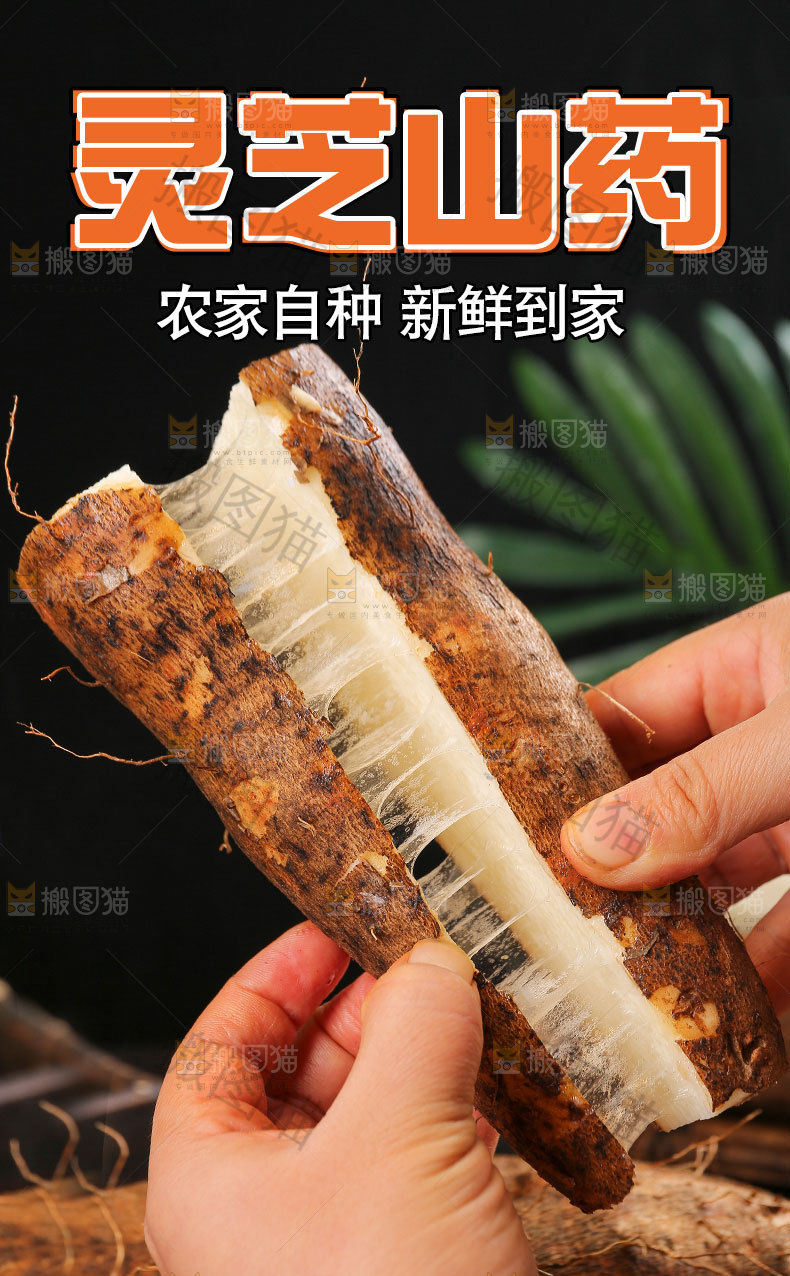 灵芝山药详情页
