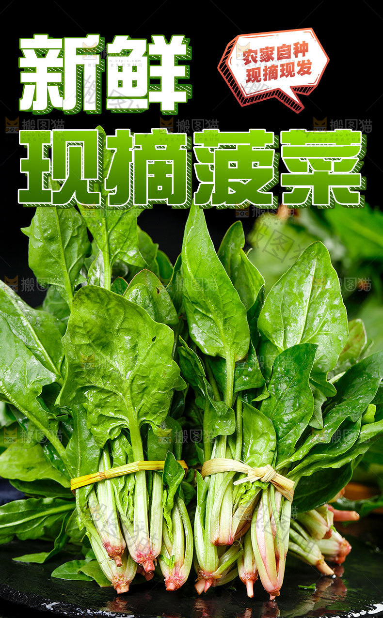 现摘菠菜详情页