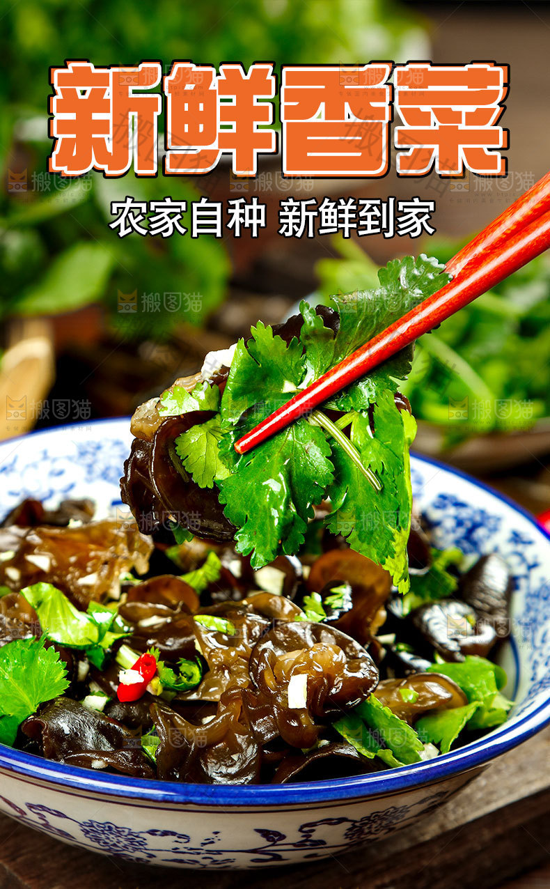 香菜详情页设计