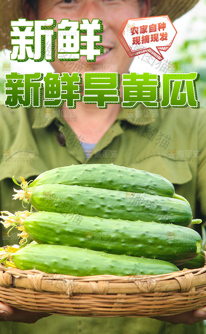 旱黄瓜详情页