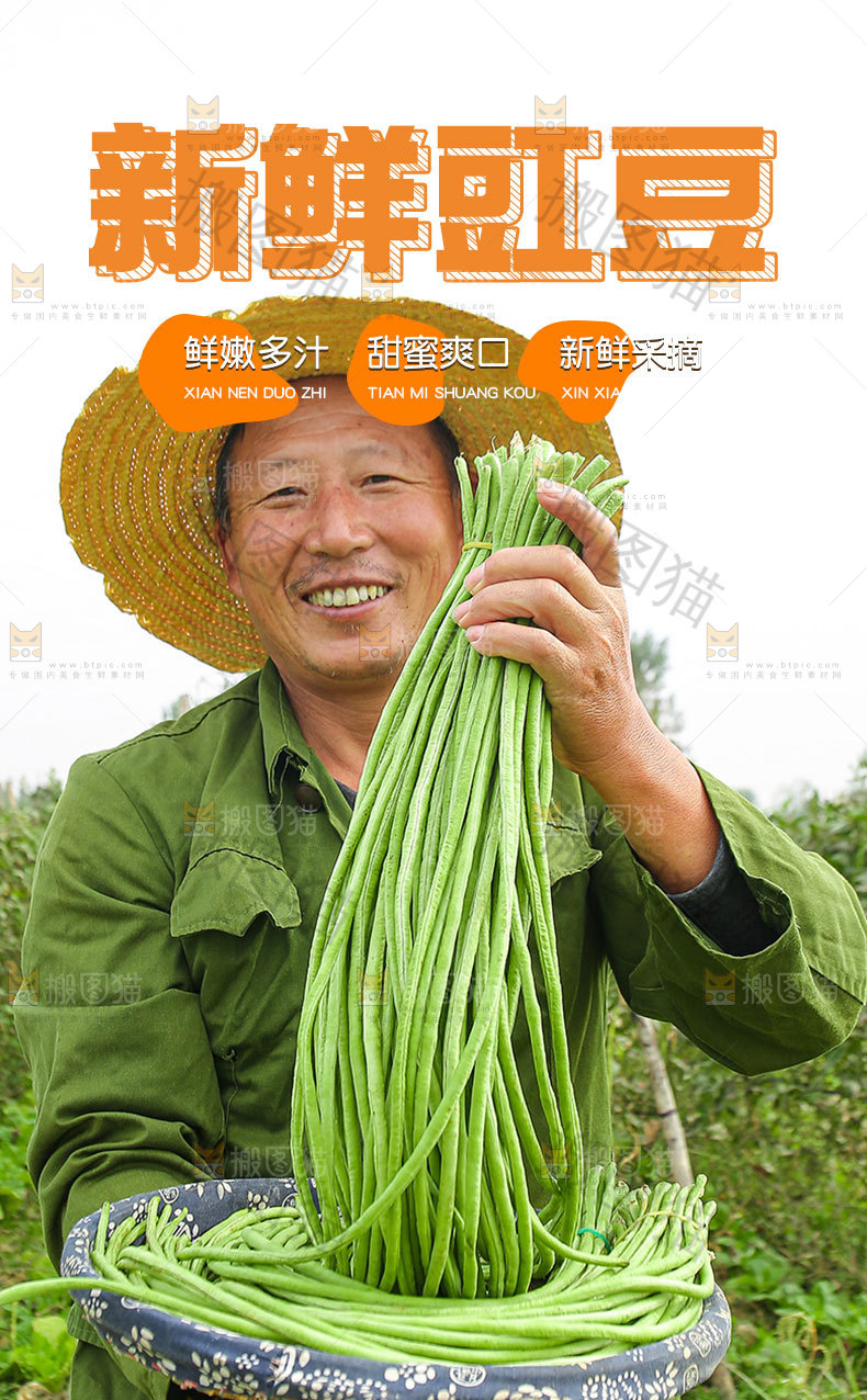 长豇豆详情页设计