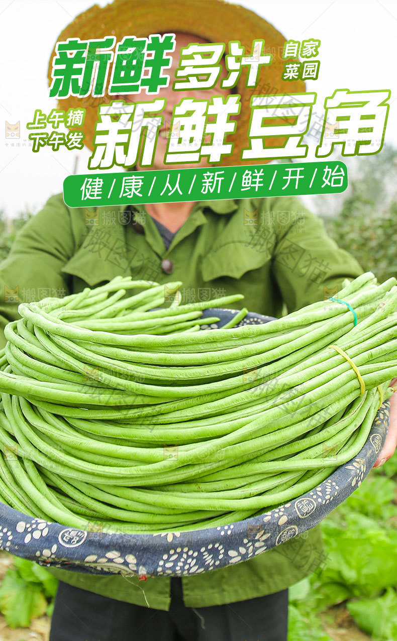 新鲜长豆角详情页