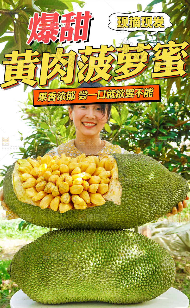 黄肉菠萝蜜详情页