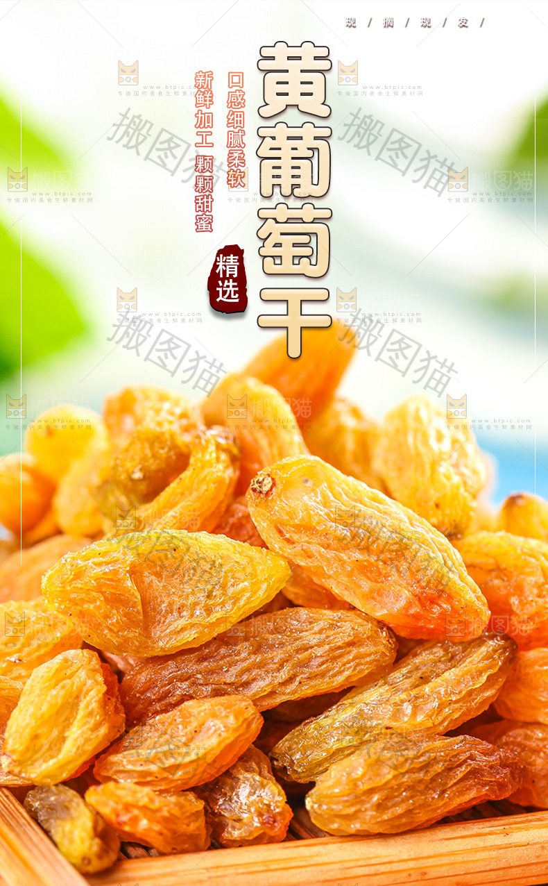 树上黄葡萄干详情