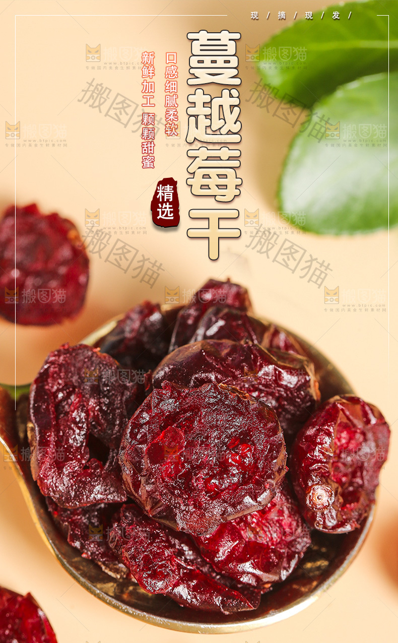 蔓越莓干详情页