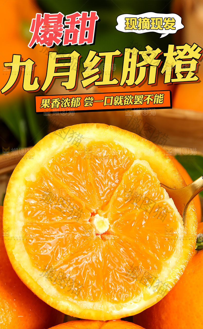 九月红脐橙详情页