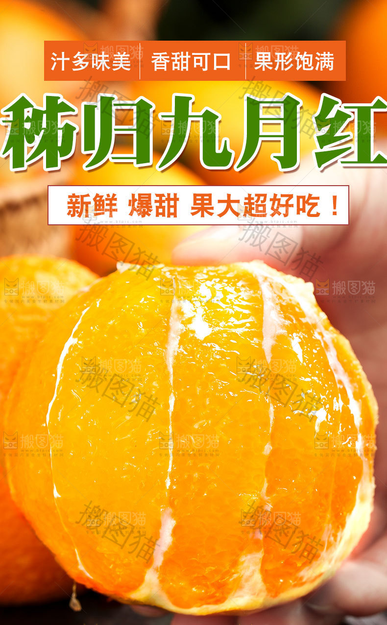 九月红脐橙详情页