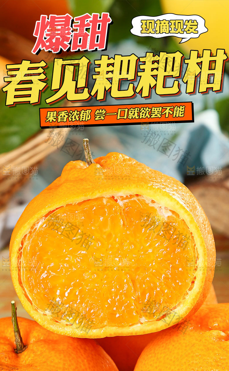 春见耙耙柑详情页
