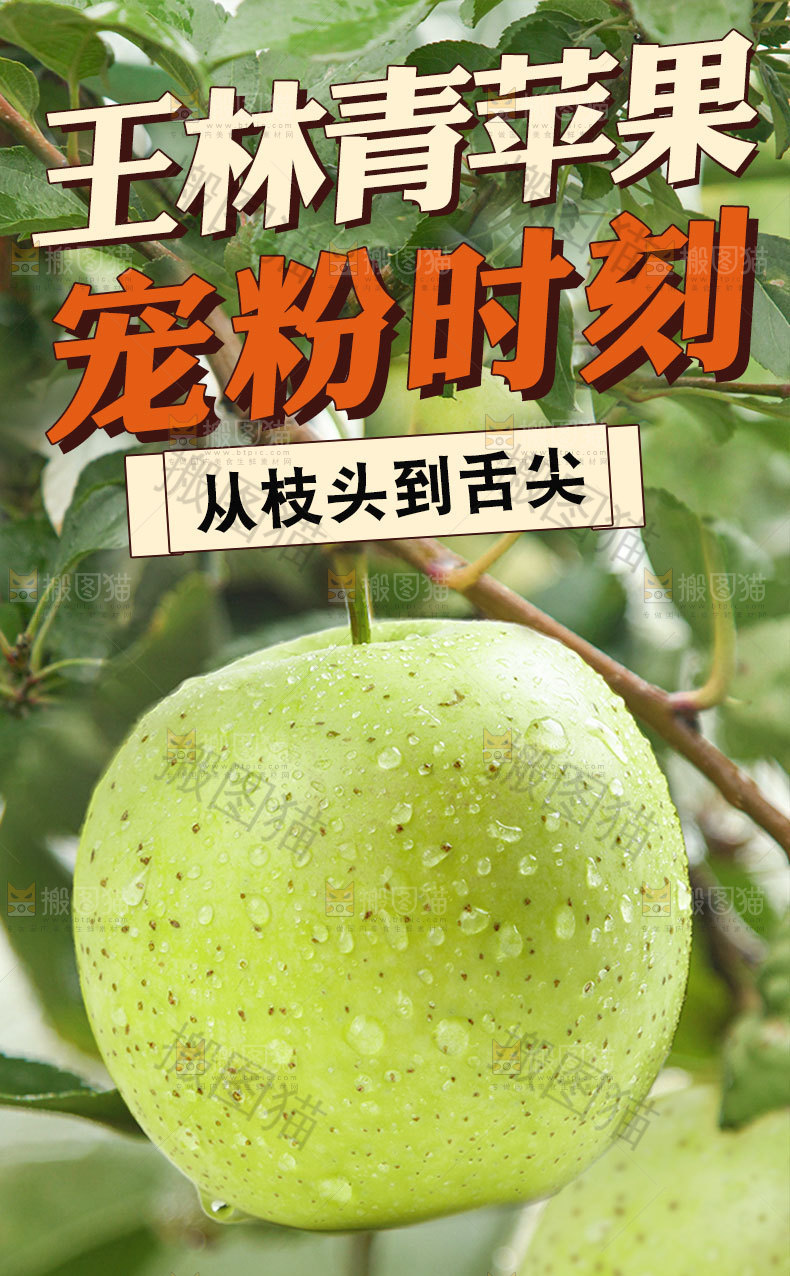 王林苹青果详情页