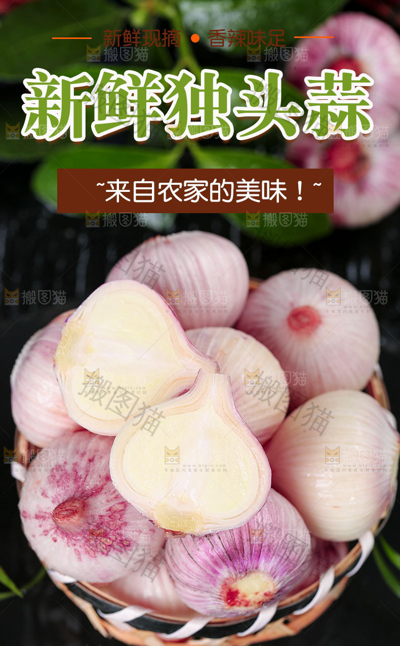 独头蒜详情设计
