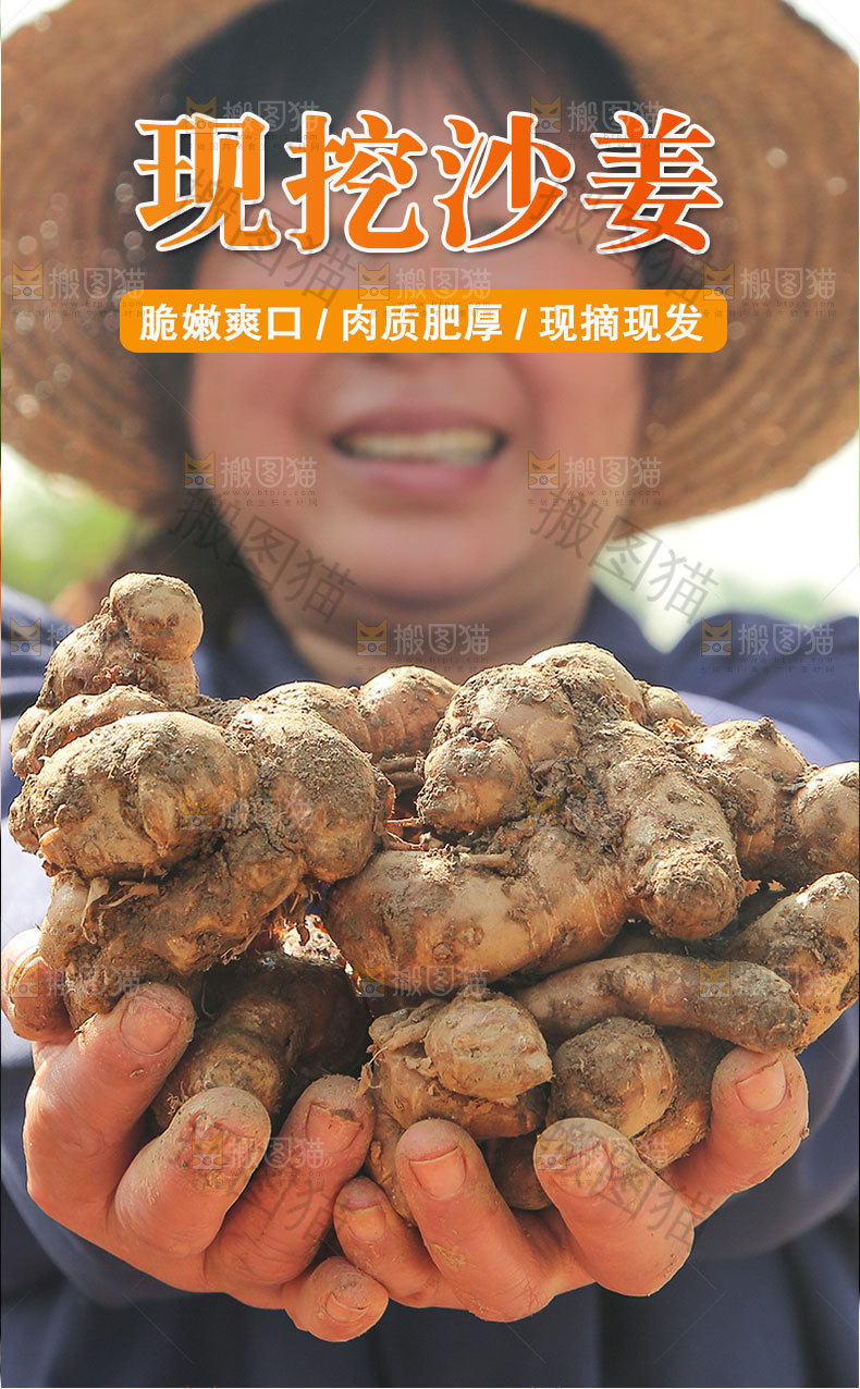 沙姜详情页设计