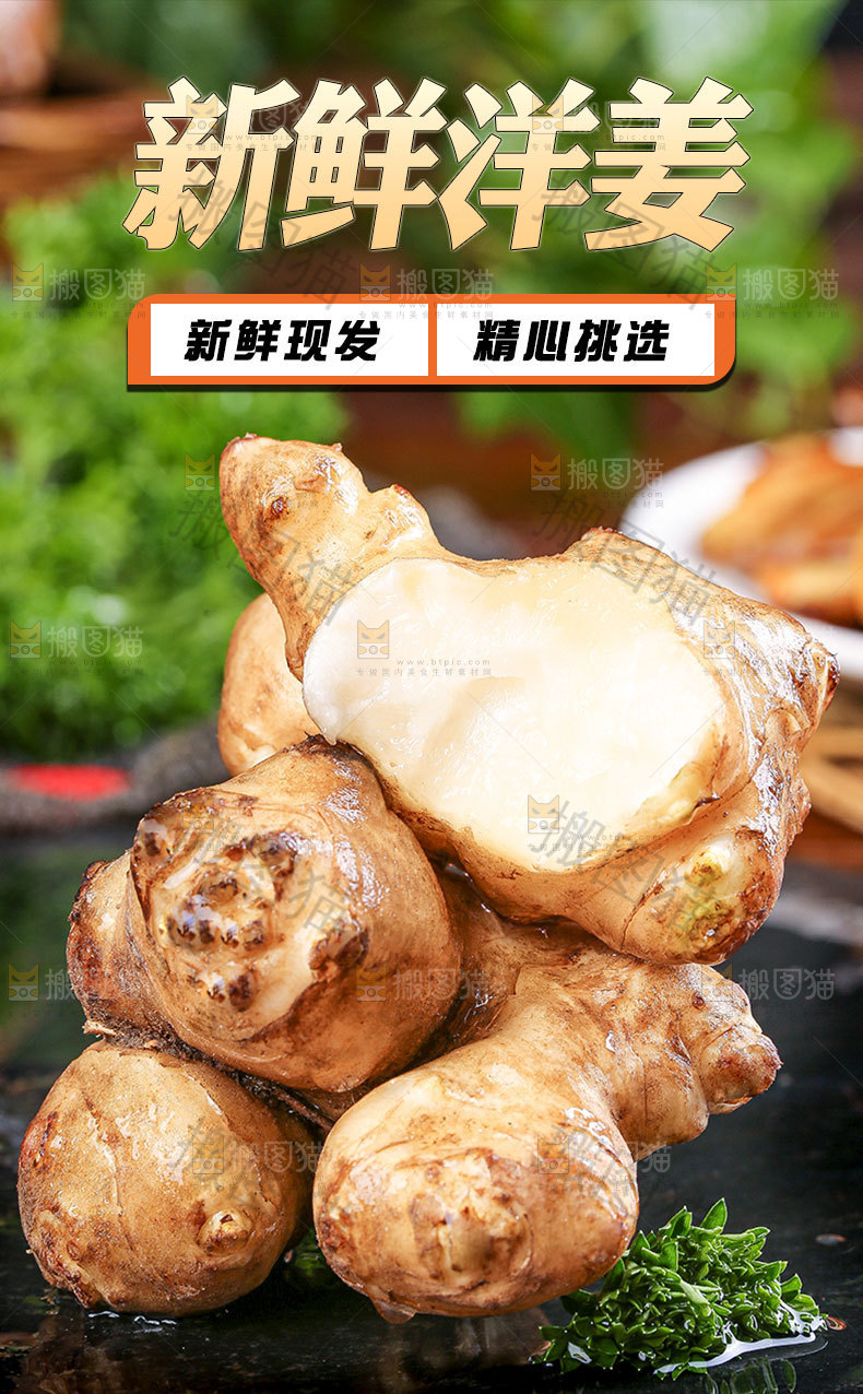 新鲜洋姜详情页