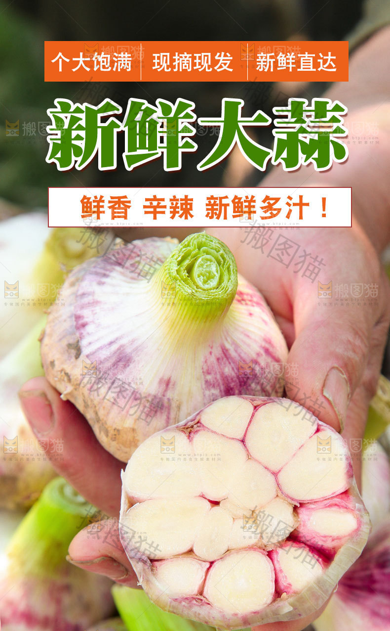 紫皮大蒜详情页