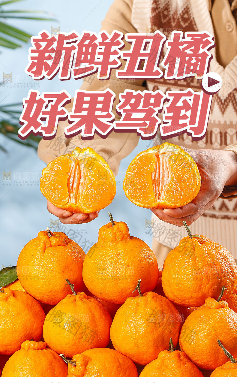 新鲜丑橘详情页
