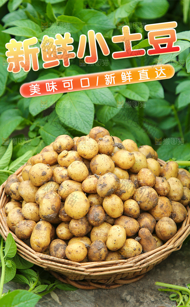 小土豆详情页