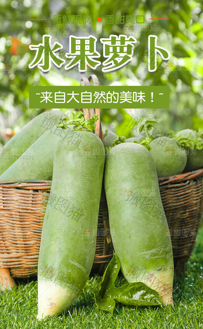 新鲜水果萝卜详情