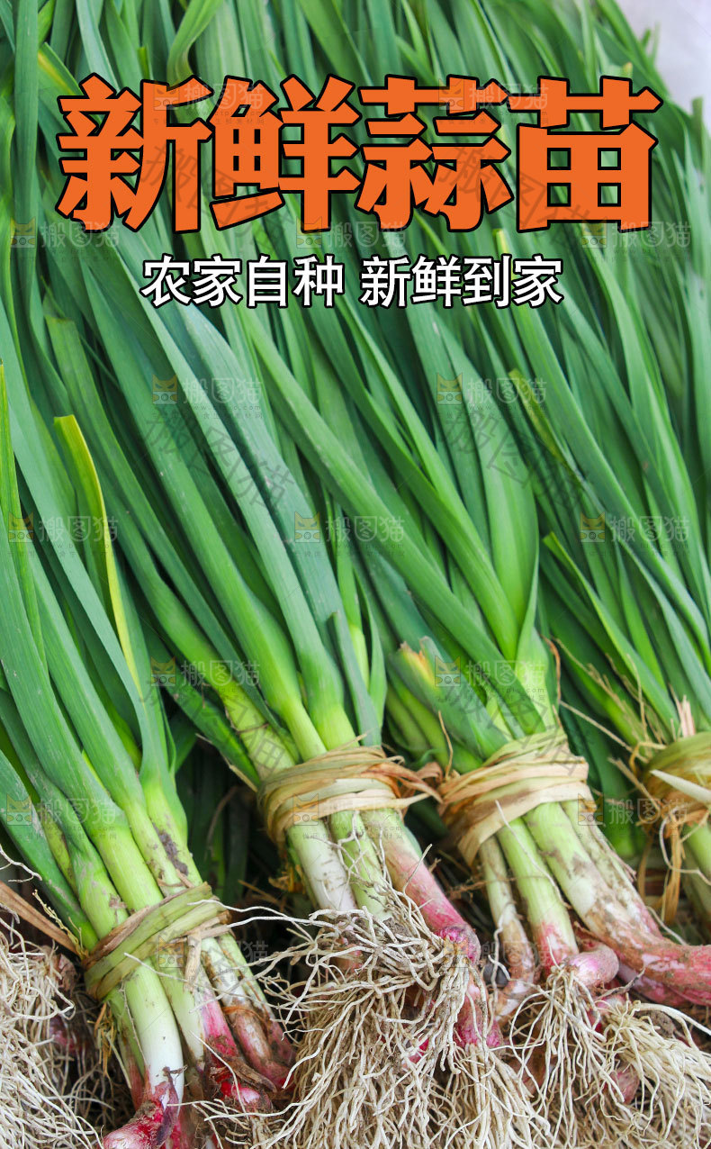 蒜苗详情页设计