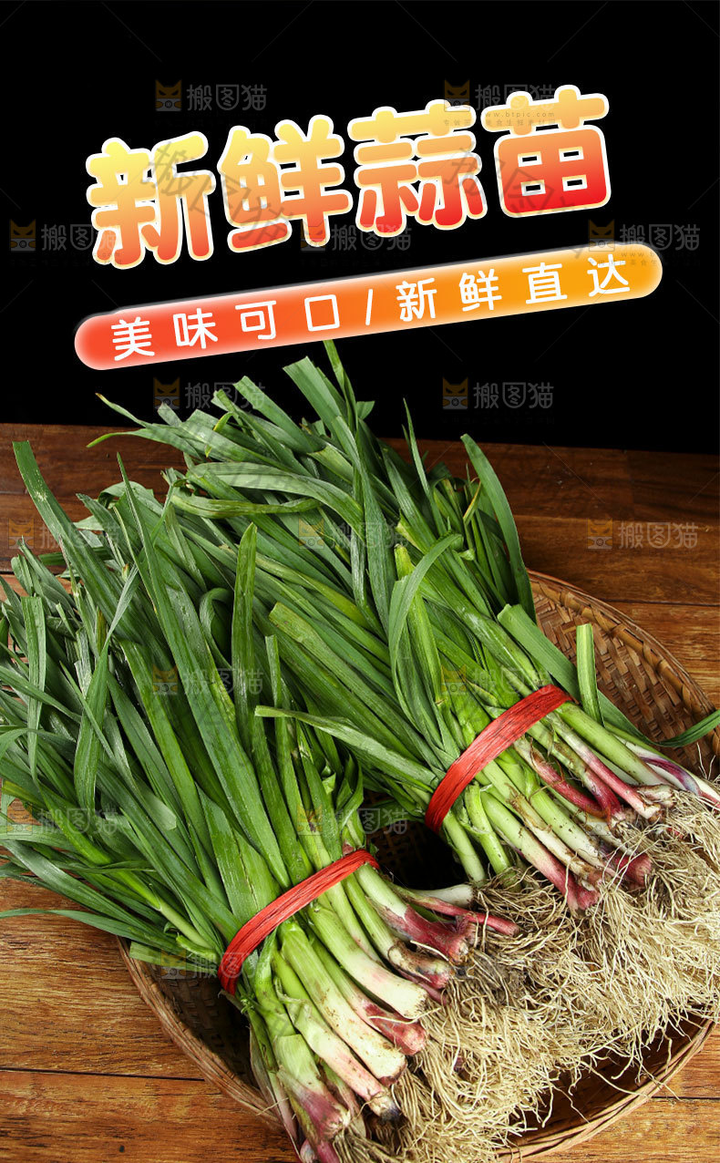 青蒜苗详情页