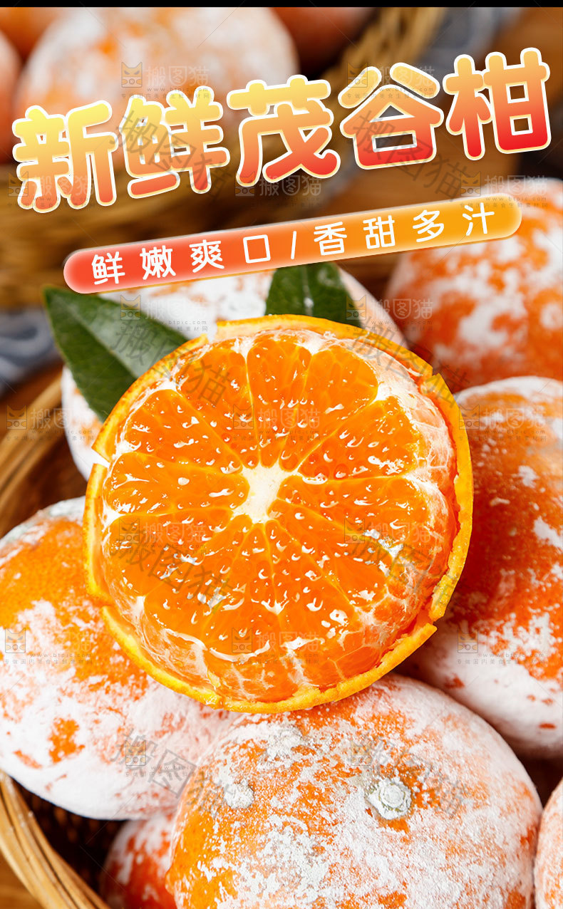 茂谷柑详情