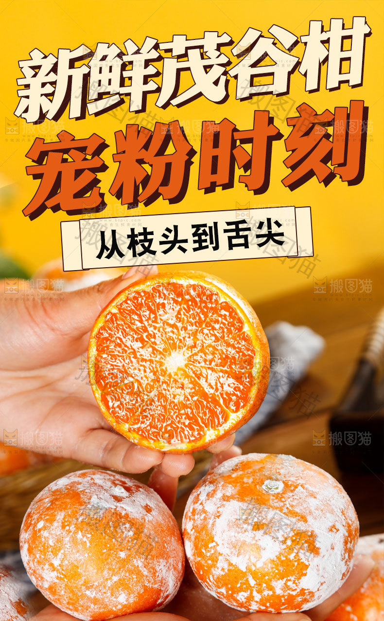 新鲜茂谷柑详情页