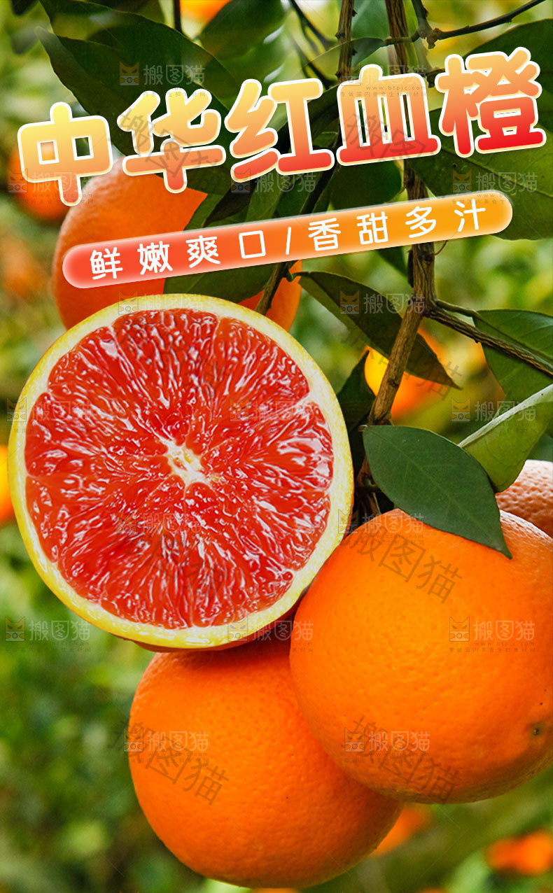 中华红血橙详情页