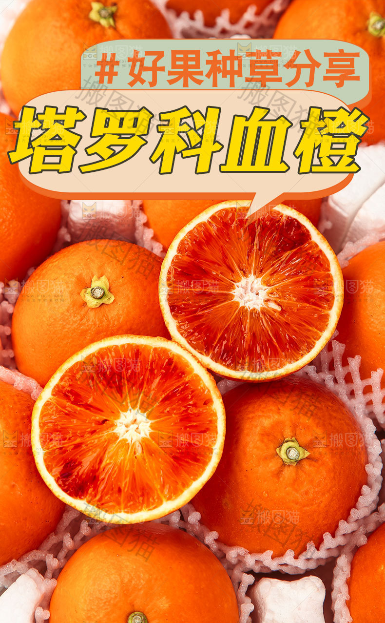新鲜血橙详情页