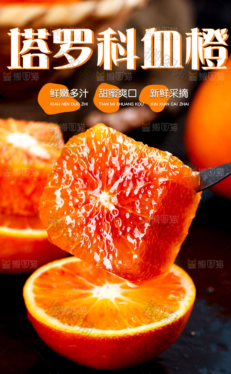 玫瑰血橙详情