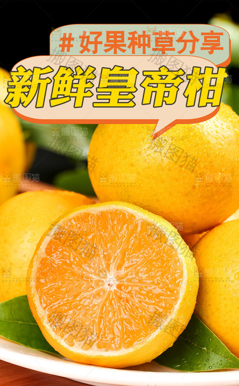 新鲜皇帝柑详情页