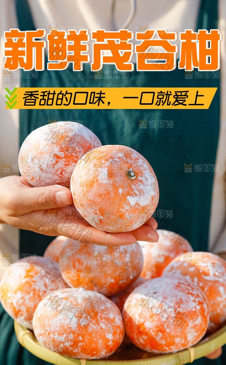新鲜茂谷柑详情页