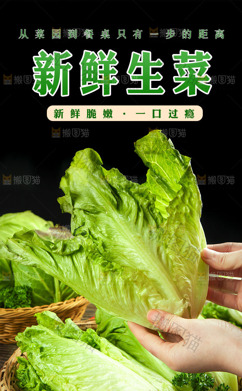新鲜生菜详情页