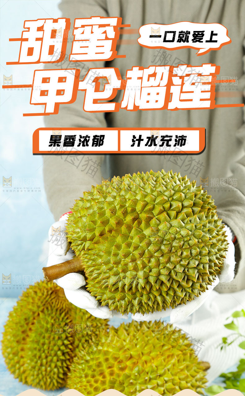 新鲜甲仑榴莲详情