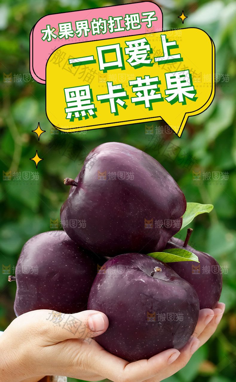 新鲜黑卡苹果详情页