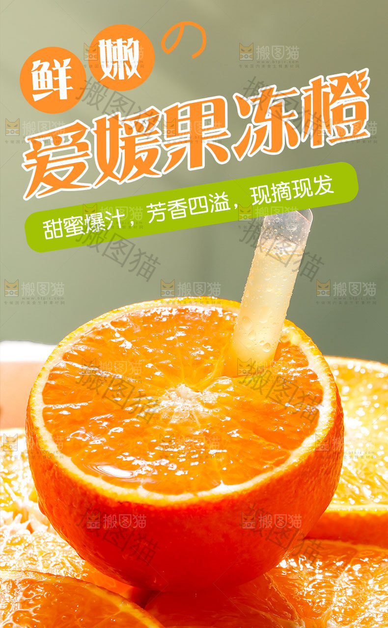 爱媛果冻橙详情