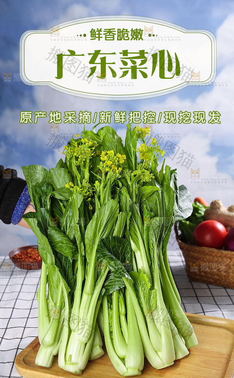 广东菜心详情页