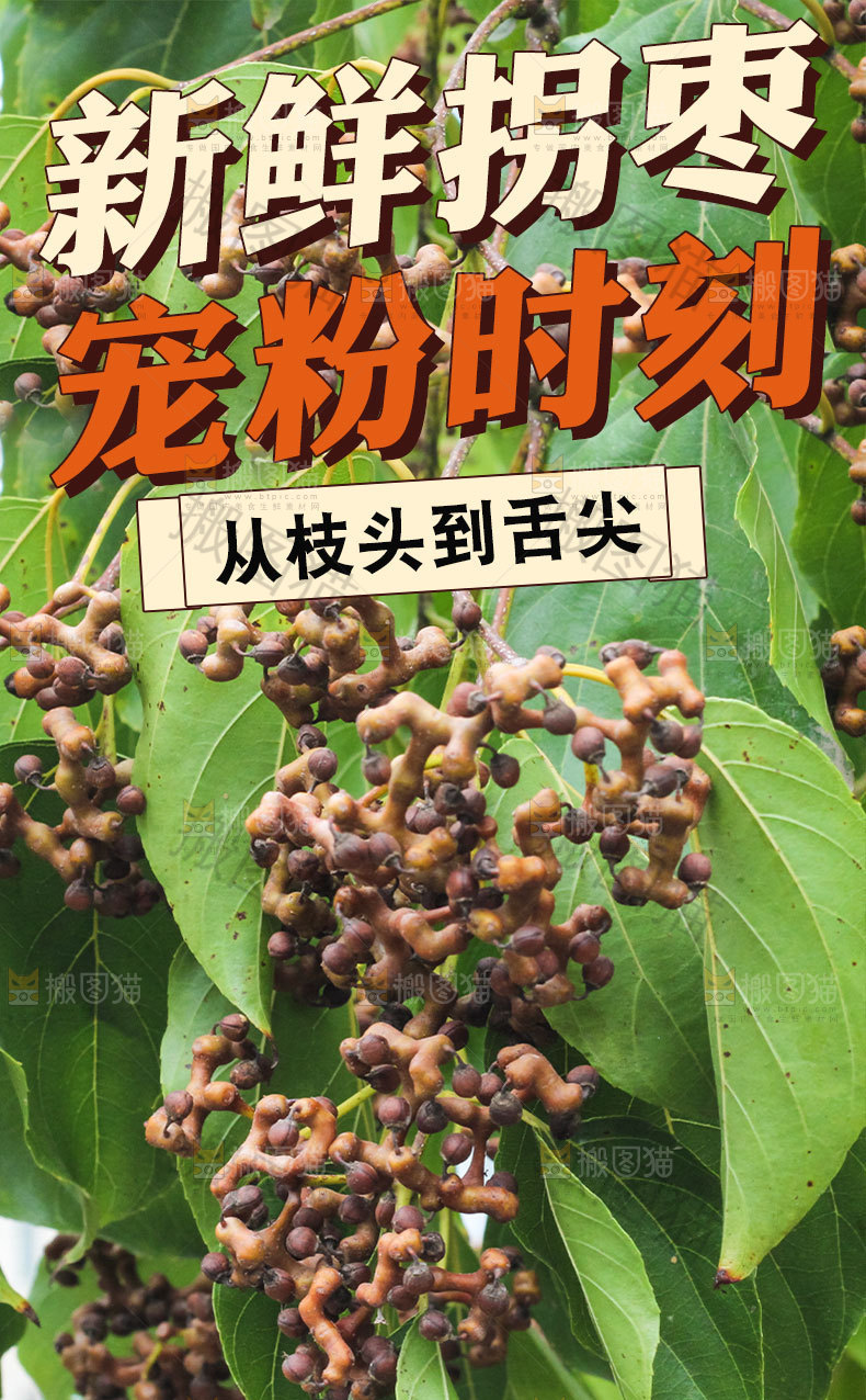新鲜拐枣详情页