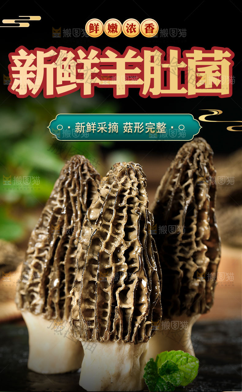 羊肚菌详情页设计