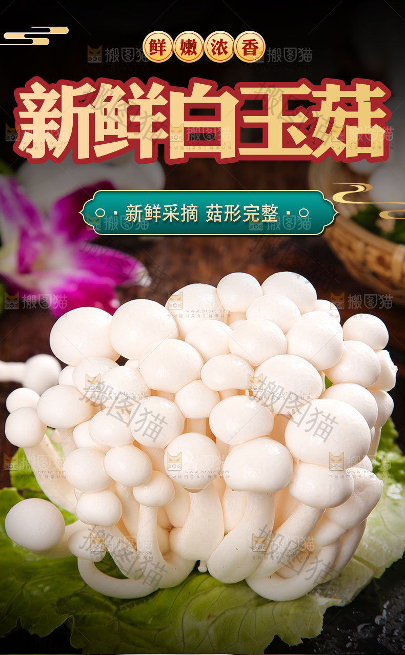 新鲜白玉菇详情