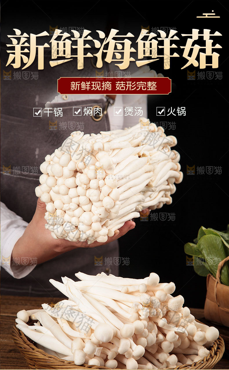 新鲜海鲜菇详情页
