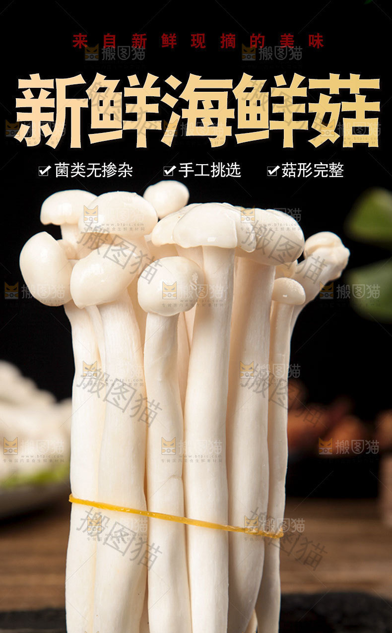 海鲜菇详情页