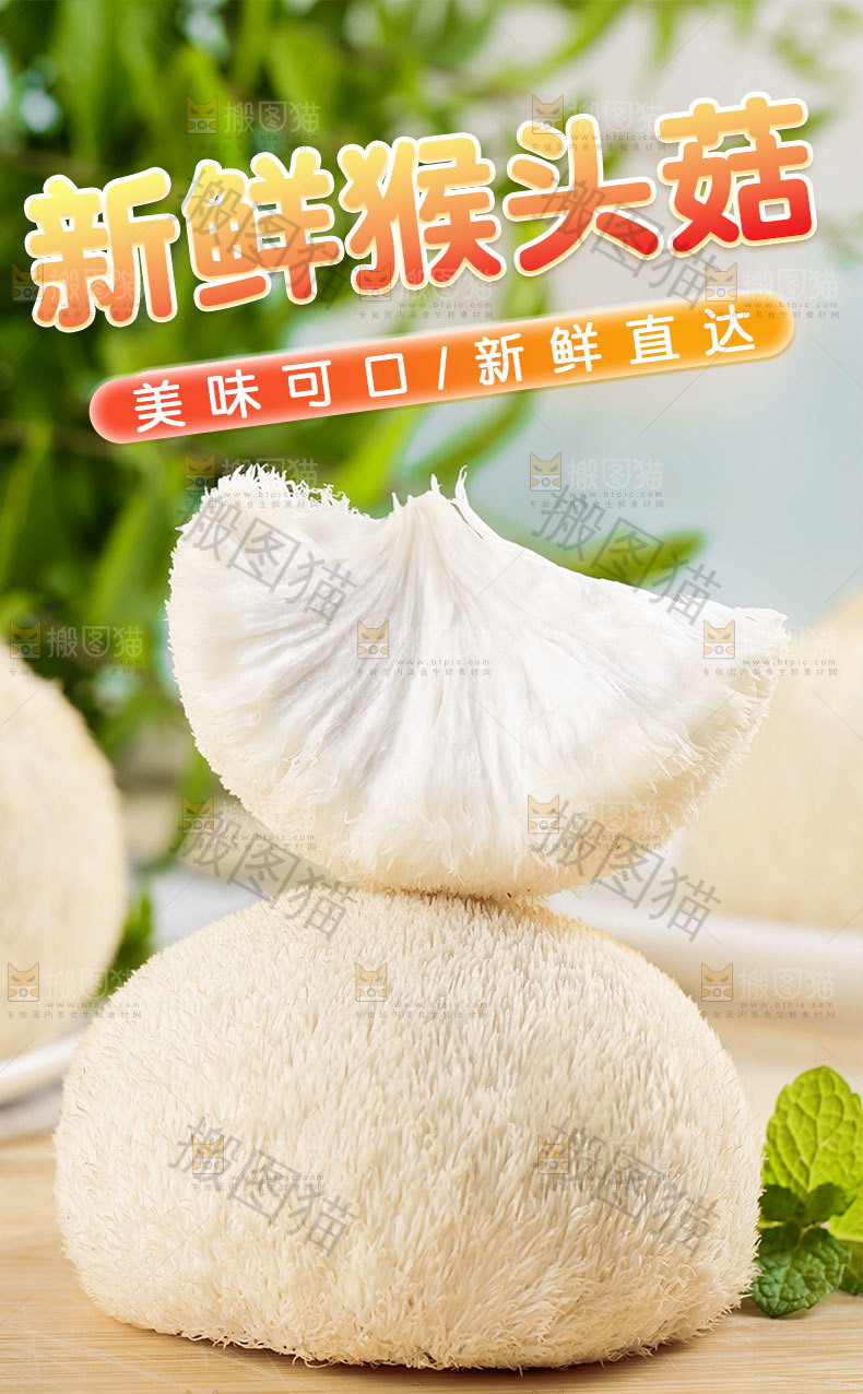 猴头菇详情页